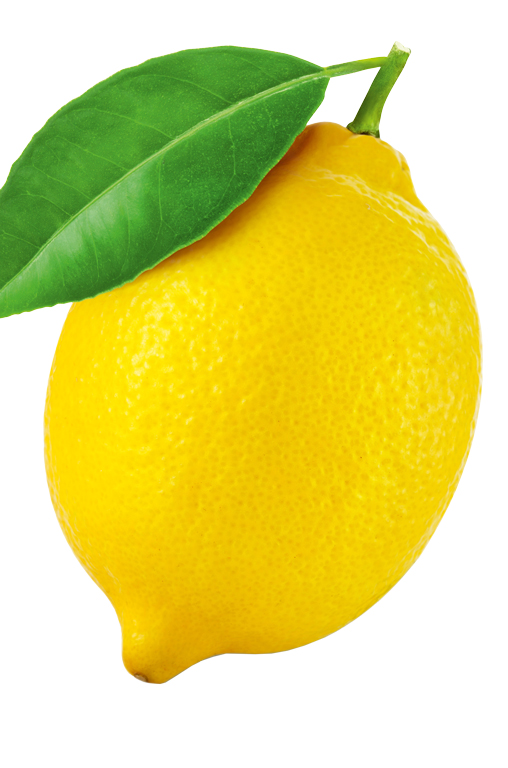 Abbildung einer Zitrone