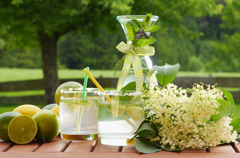 Erfrischende Limonade mit Kräutern in einer Karaffe und Gläsern
