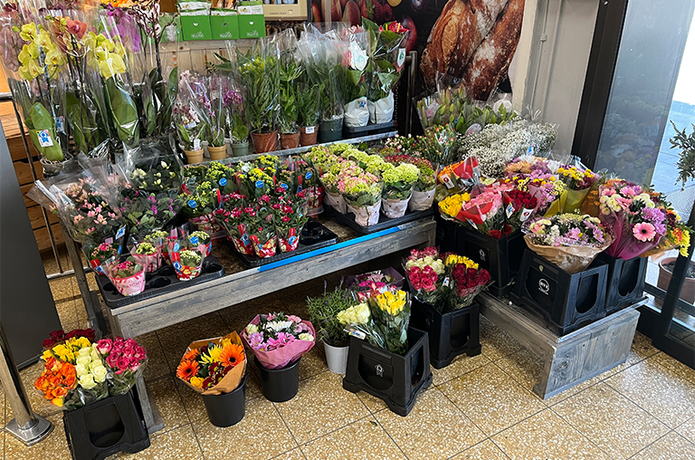 Blumensortiment im Markt